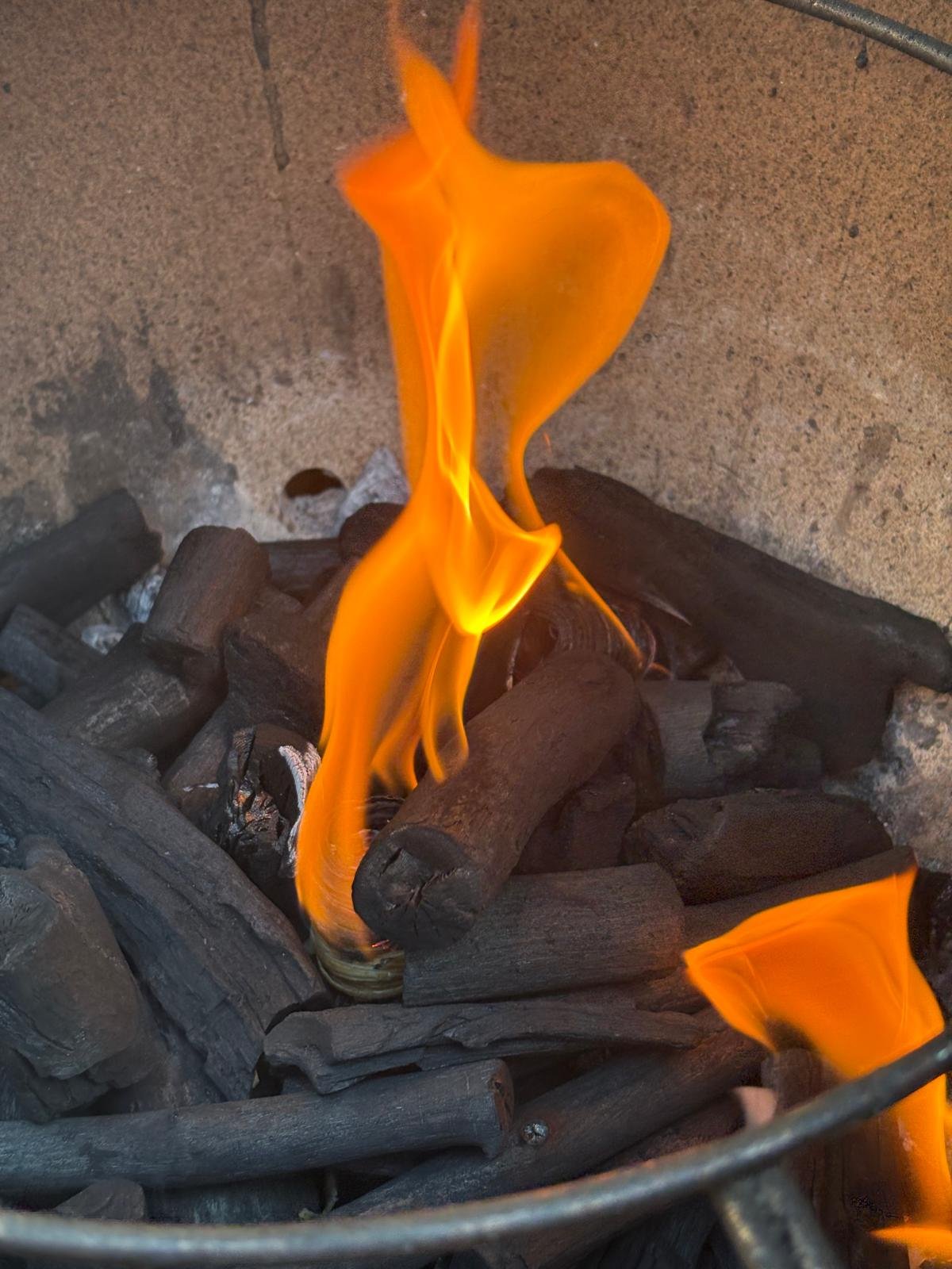 Beste houtskool voor kamado